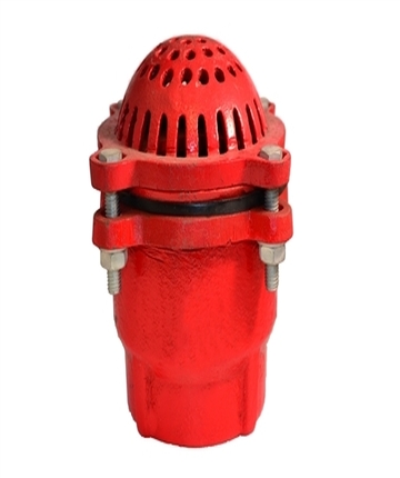 Foot valve